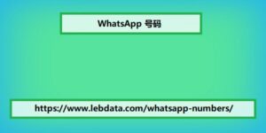 WhatsApp 号码