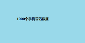 1000个手机号码数据
